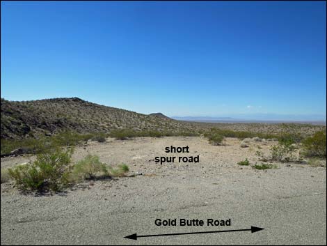 Gold Butte Road