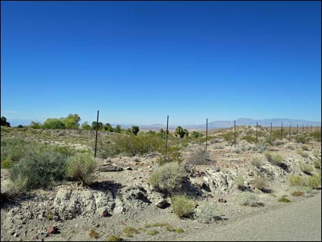 Gold Butte Road