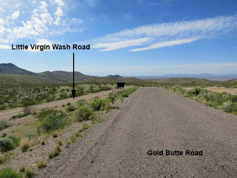 Gold Butte Road