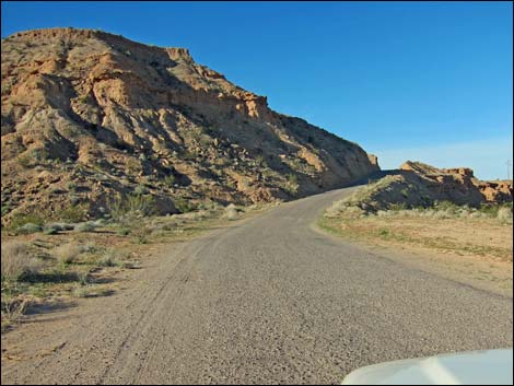 Gold Butte Road