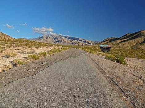 Gold Butte Road