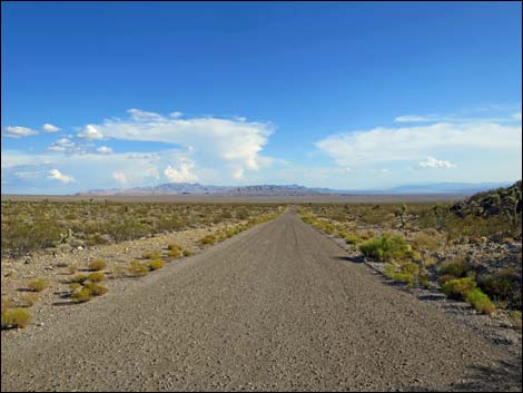 Gold Butte Road