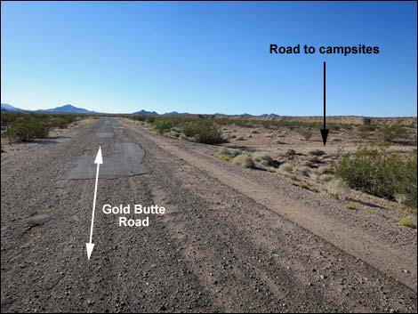 Gold Butte Road