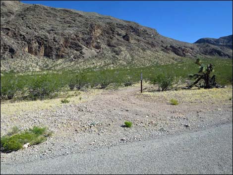 Gold Butte Road