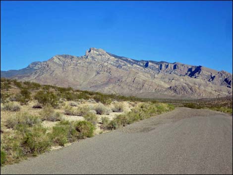 Gold Butte Road