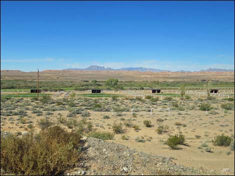 Gold Butte Road