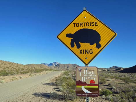 Gold Butte Road