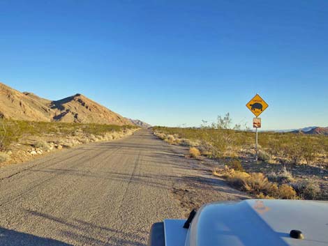 Gold Butte Road