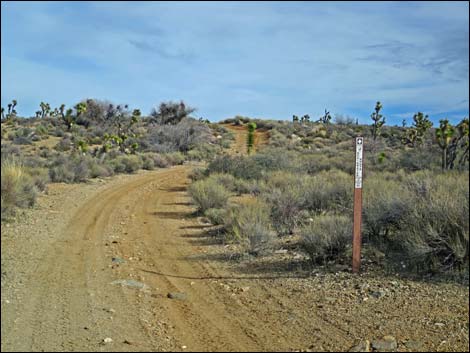 Garden Corral Road