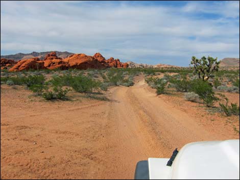 Mud Wash Dunes Road