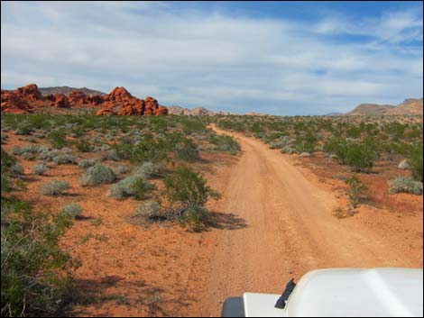 Mud Wash Dunes Road