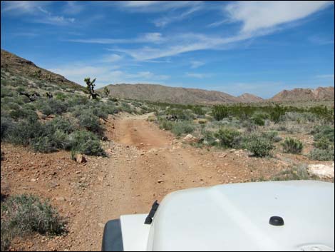 Red Bluff Spring Road