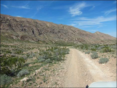 Red Bluff Spring Road