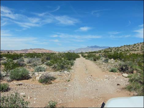 Red Bluff Spring Road