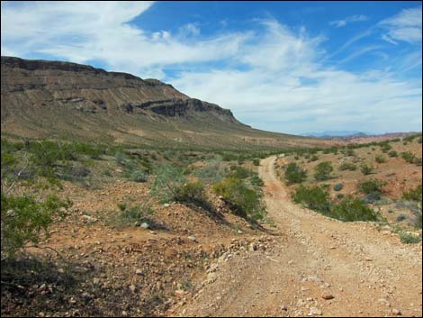 Red Bluff Spring Road