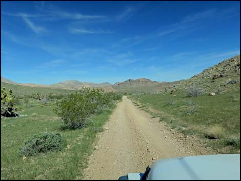 Red Bluff Spring Road