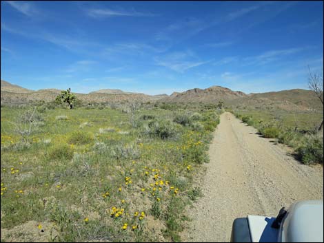 Red Bluff Spring Road