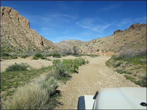 Red Bluff Spring Road