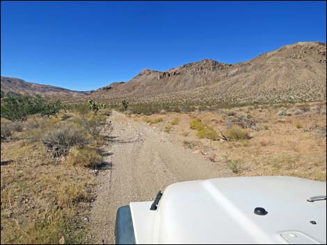 Red Bluff Spring Road