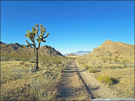 Red Bluff Spring Road