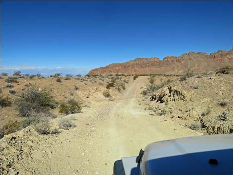 Red Bluff Spring Road