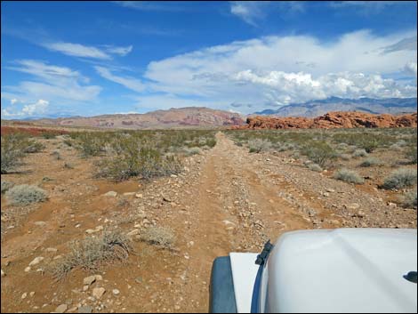 Red Bluff Spring Road