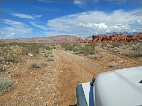 Red Bluff Spring Road