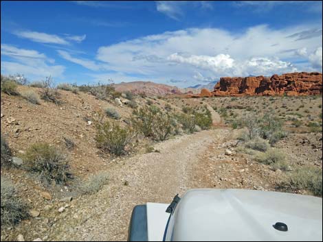 Red Bluff Spring Road