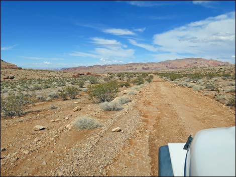 Red Bluff Spring Road