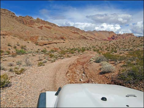 Red Bluff Spring Road