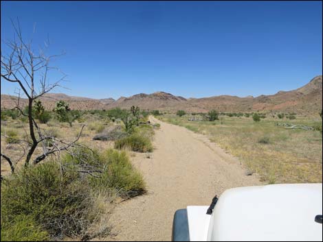 Red Bluff Spring Road