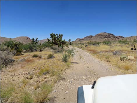 Red Bluff Spring Road