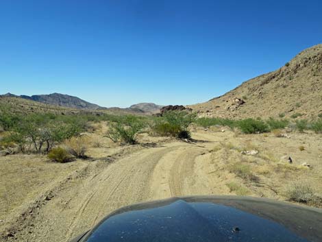 Red Bluff Spring Road