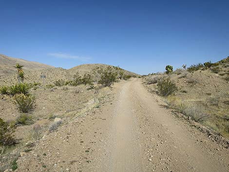 Red Bluff Spring Road