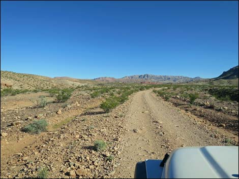 Red Bluff Spring Road