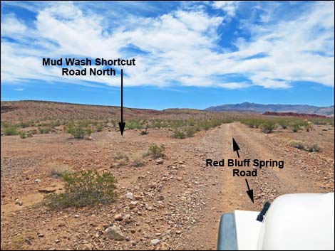 Red Bluff Spring Road