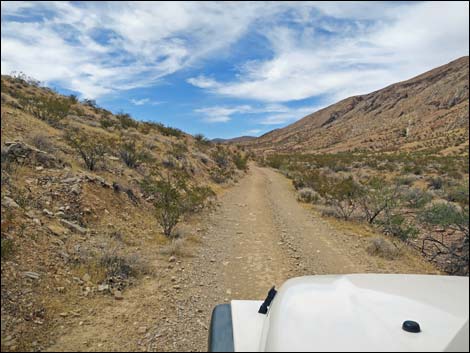 Red Bluff Spring Road