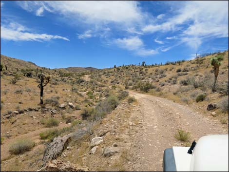 Red Bluff Spring Road