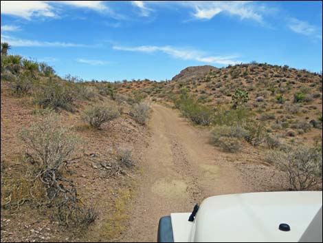 Red Bluff Spring Road