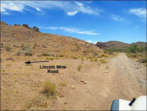 Red Bluff Spring Road