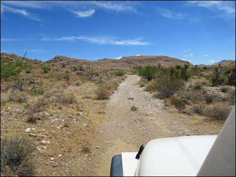 Red Bluff Spring Road