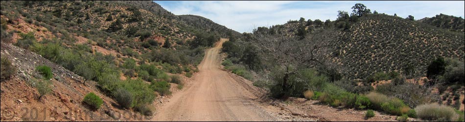 Whitney Pass Road