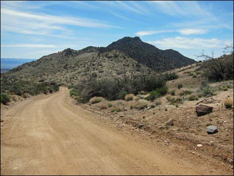 Whitney Pass Road