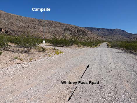 Whitney Pass Road