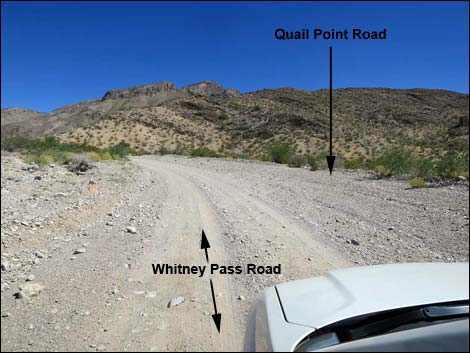 Whitney Pass Road