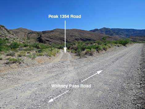 Whitney Pass Road