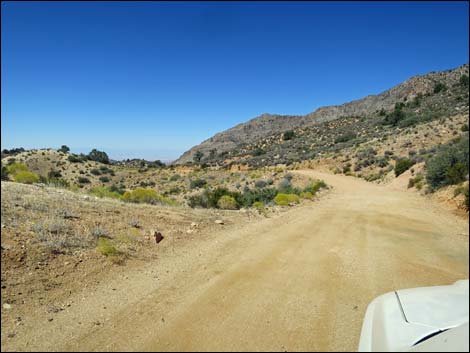 Whitney Pass Road