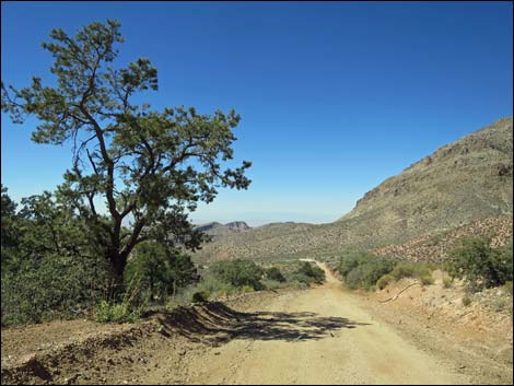 Whitney Pass Road