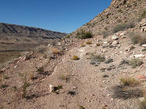 Uranium Mine