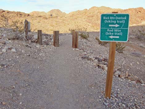 Black Mountain Overlook Trail